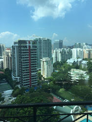 Spring Grove (D10), Condominium #117477162
